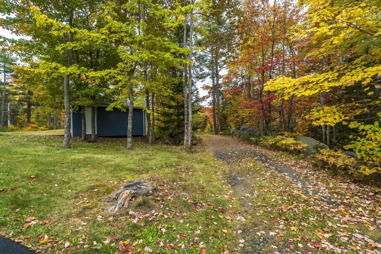View image 40