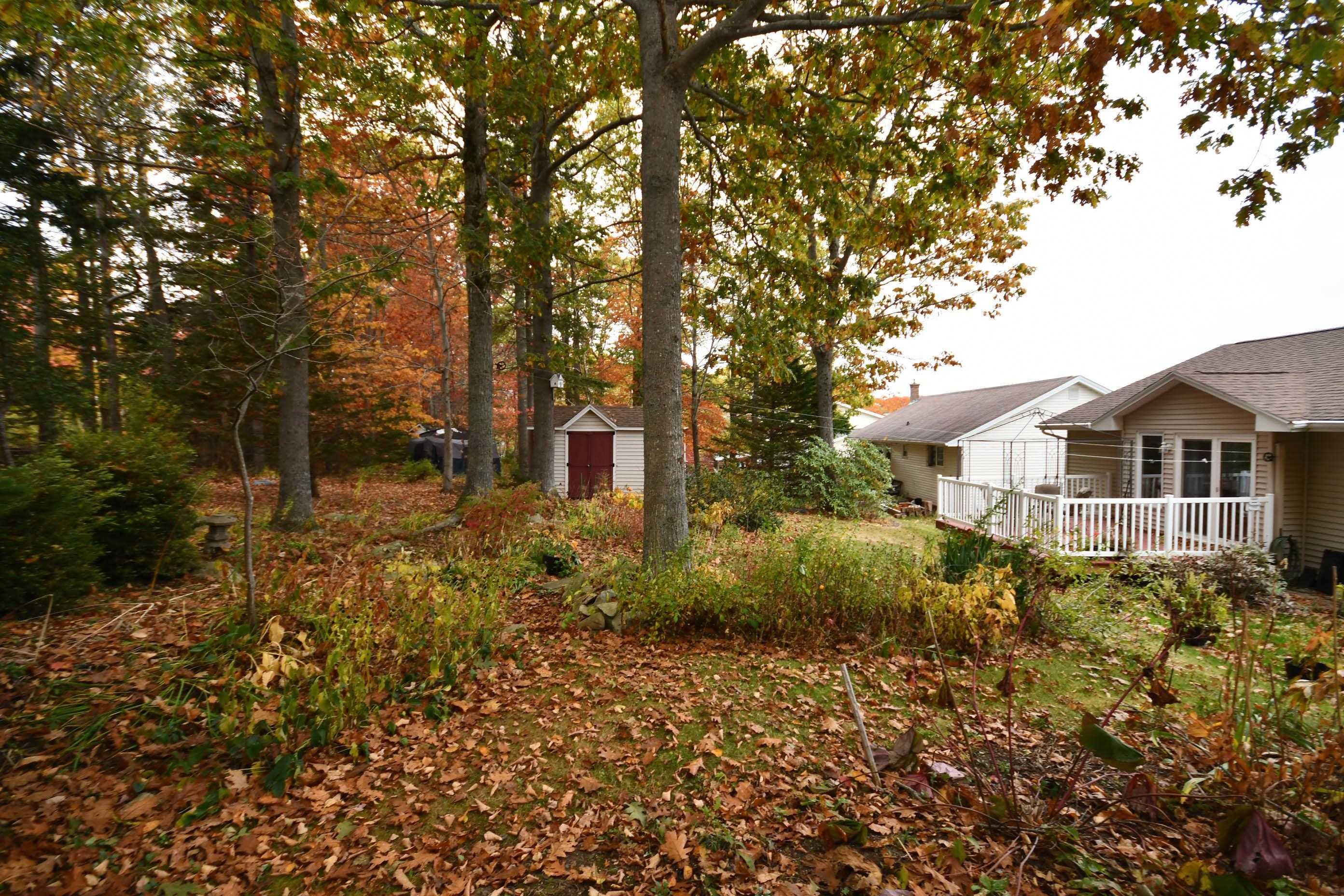 View image 9