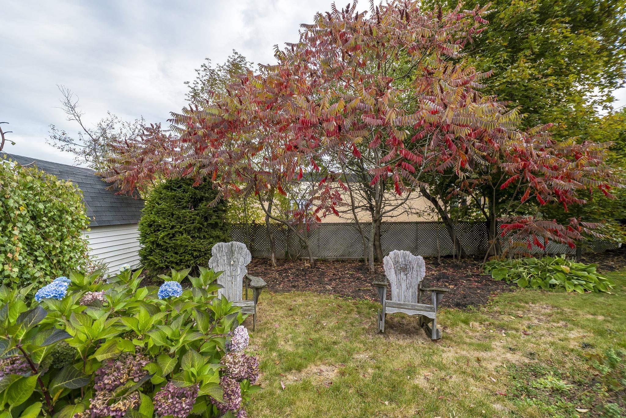 View image 37