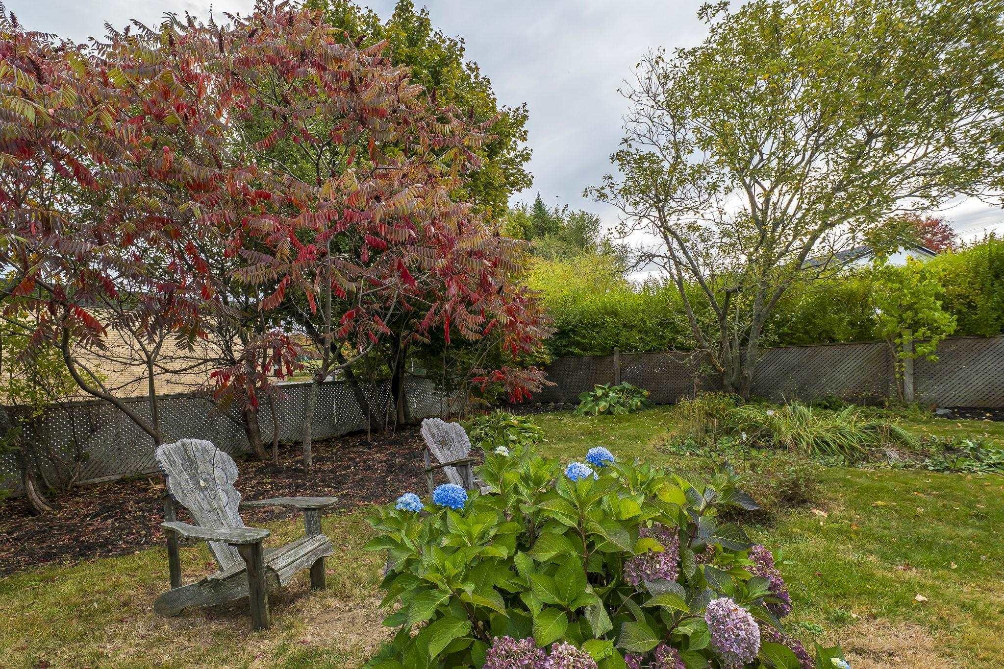 View image 39