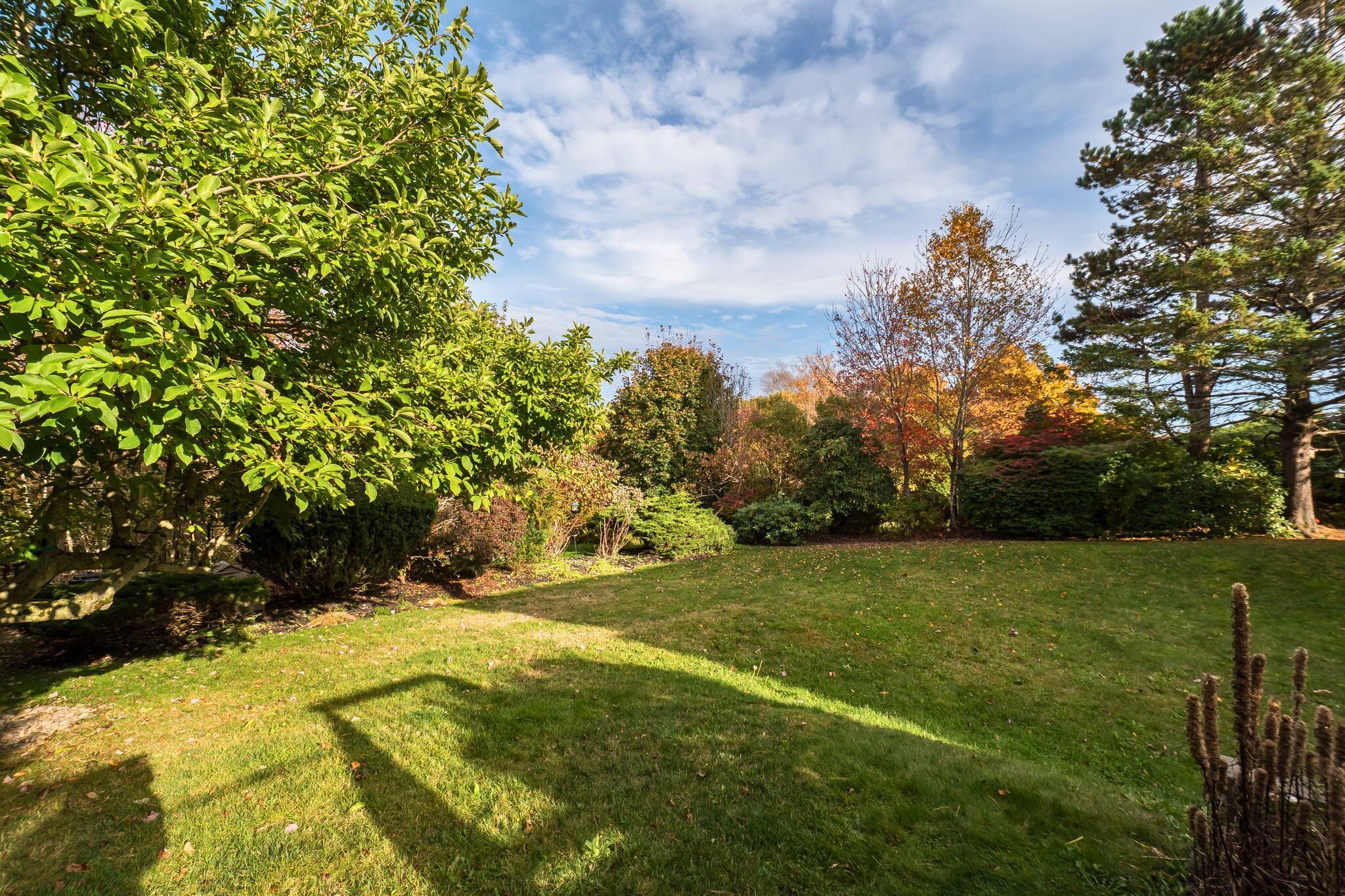 View image 29