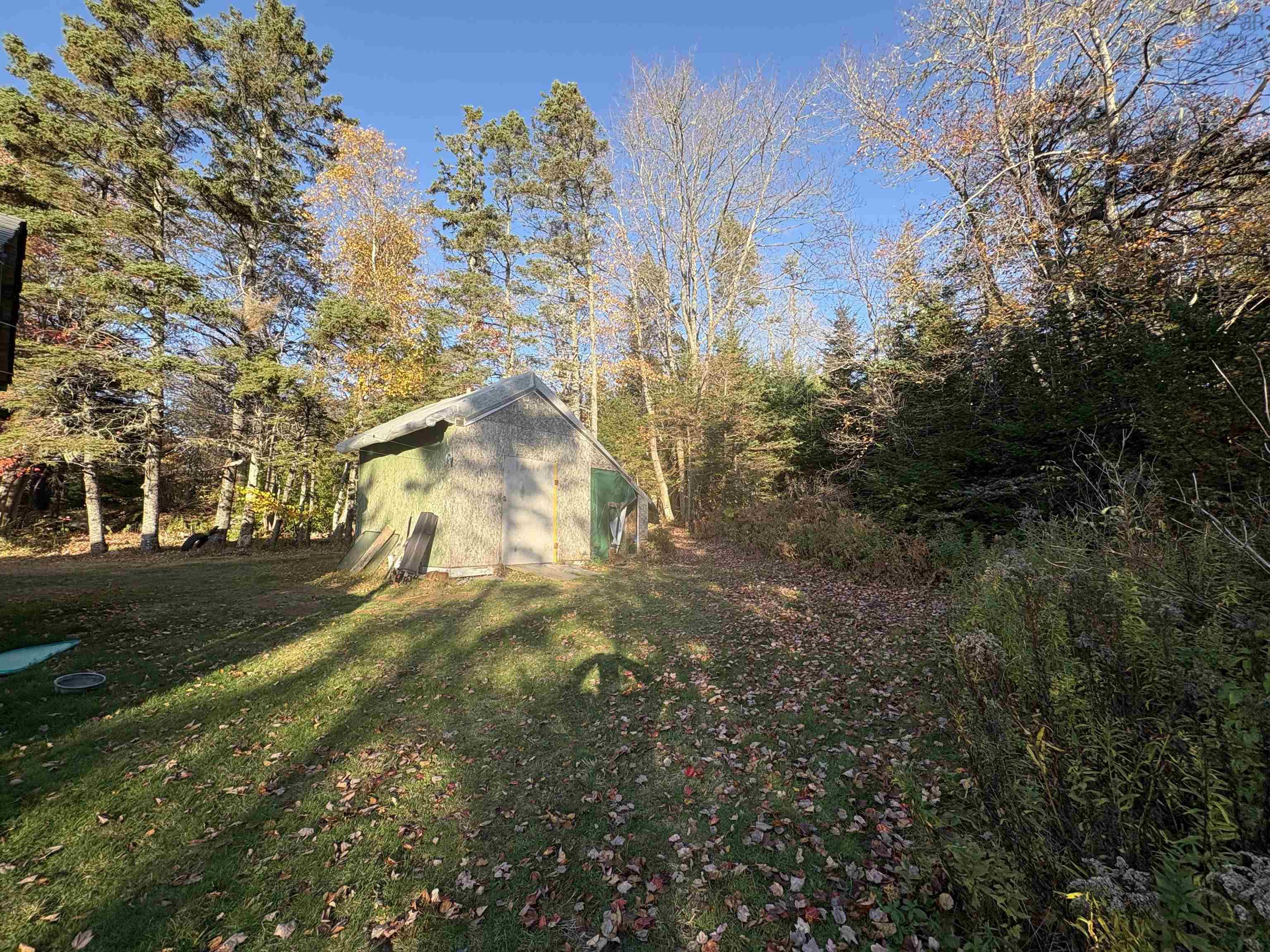 View image 4