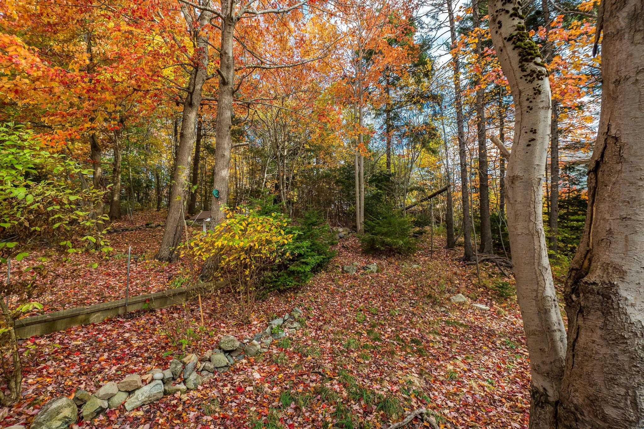 View image 35