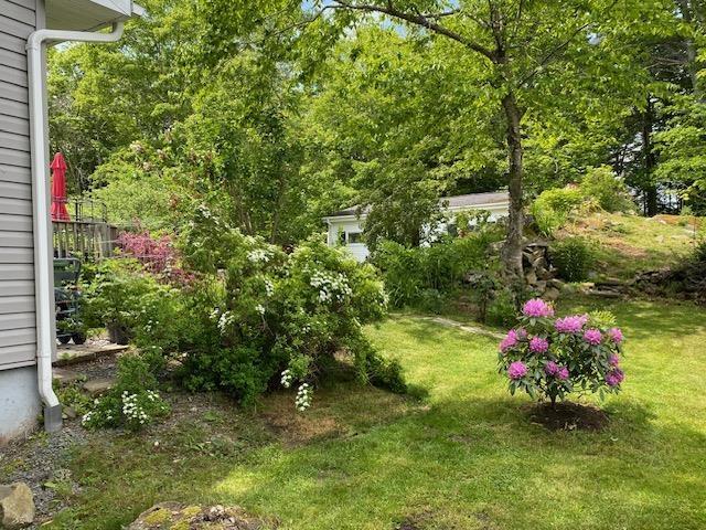 View image 36