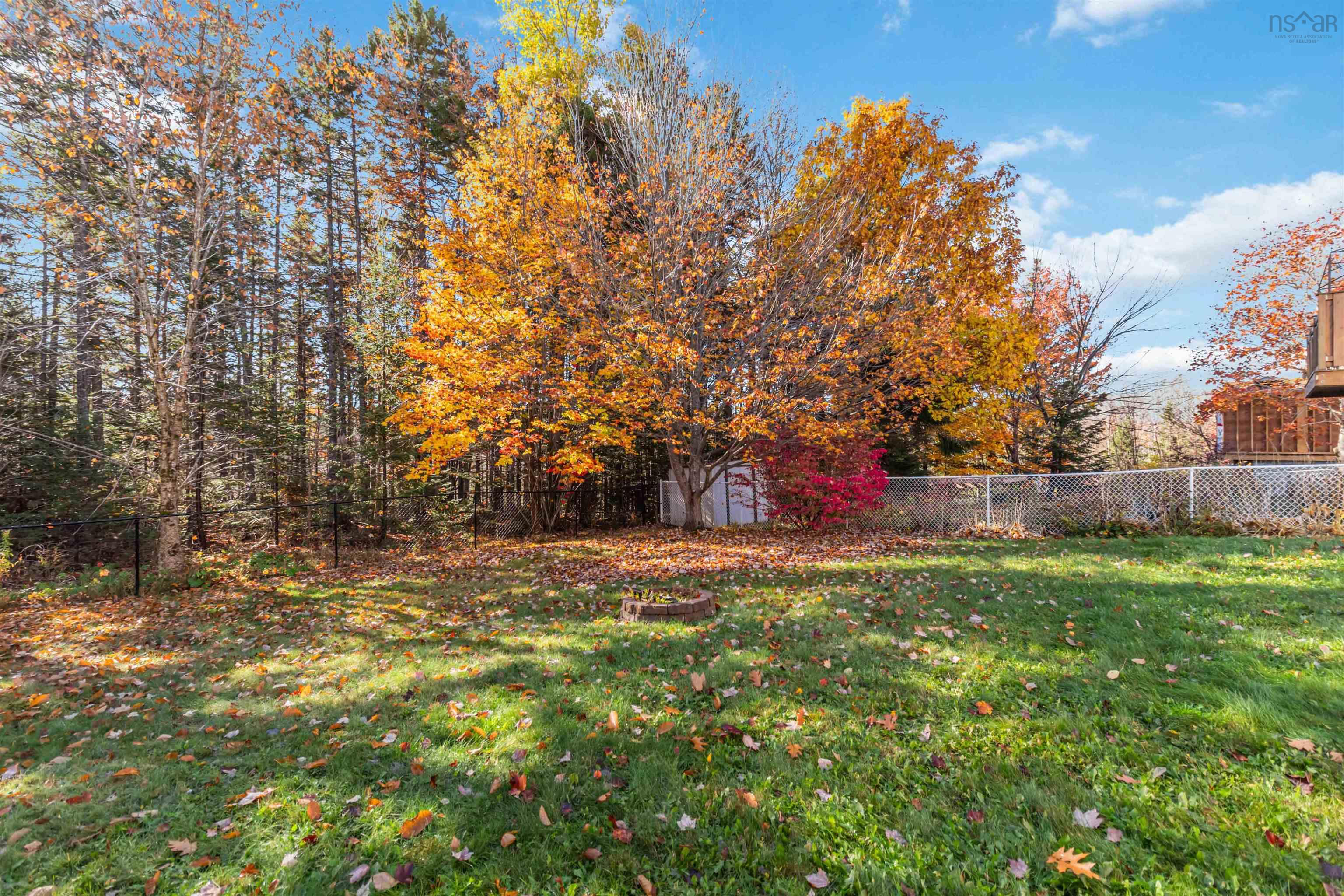 View image 14