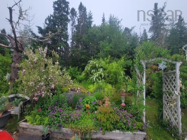 View image 39